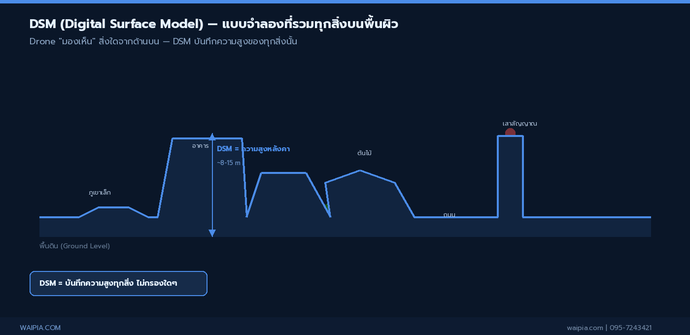 ภาพ cross-section แสดง DSM ที่รวมความสูงอาคาร ต้นไม้ และทุกสิ่งบนพื้นผิว