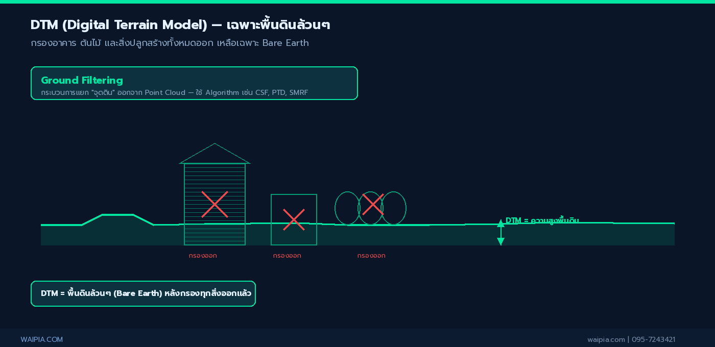 ภาพ cross-section แสดง DTM เฉพาะพื้นดิน Bare Earth หลังกรองสิ่งก่อสร้างออก