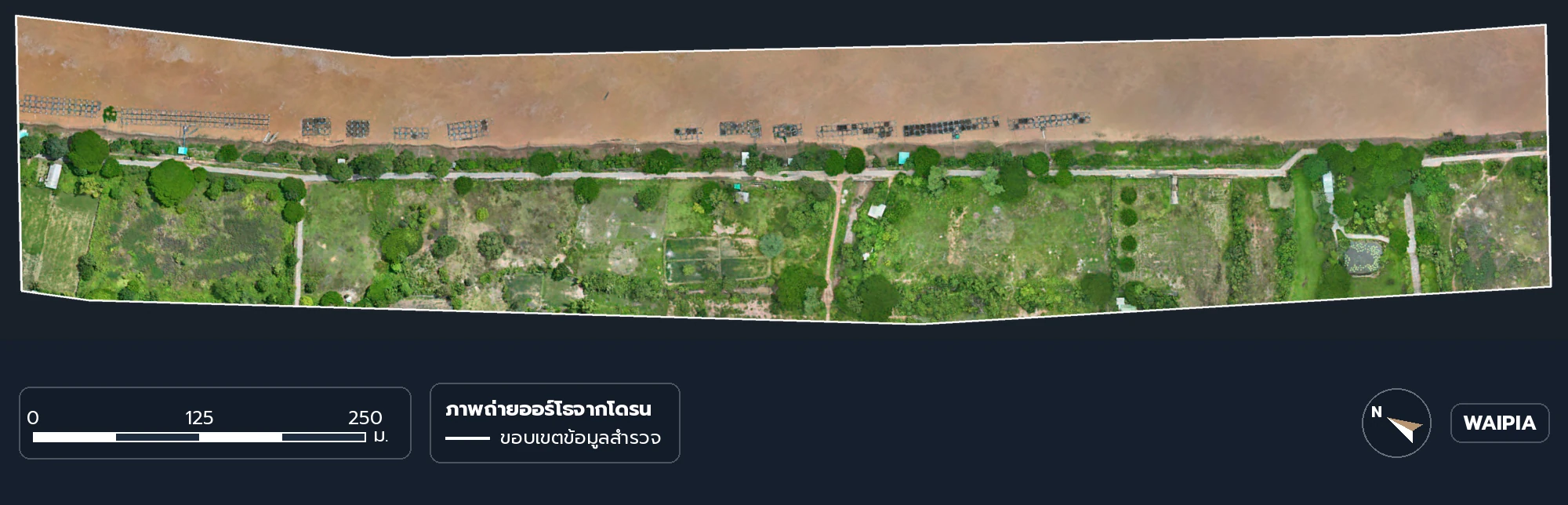 ออร์โธโมเสกจากโดรนของช่วงตัวอย่างบนแนวตลิ่งที่สำรวจ