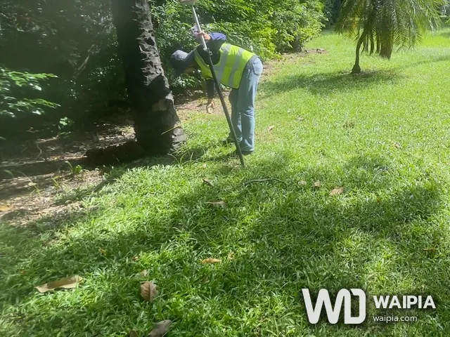 ทีมสำรวจเก็บตำแหน่งต้นไม้ด้วย GNSS RTK