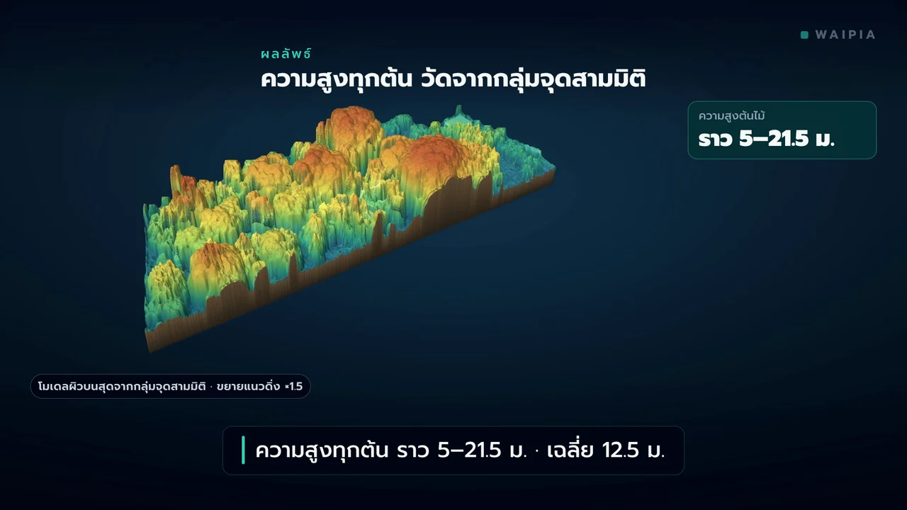 ภาพตัวอย่างวิดีโอ: สำรวจทำบัญชีต้นไม้รายต้นด้วย GIS และกลุ่มจุดสามมิติ · จ.นนทบุรี